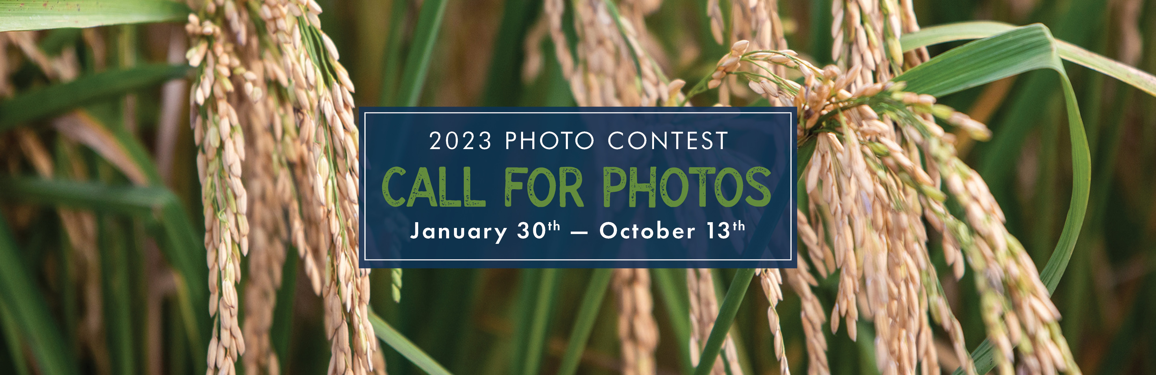 2022 photo contest