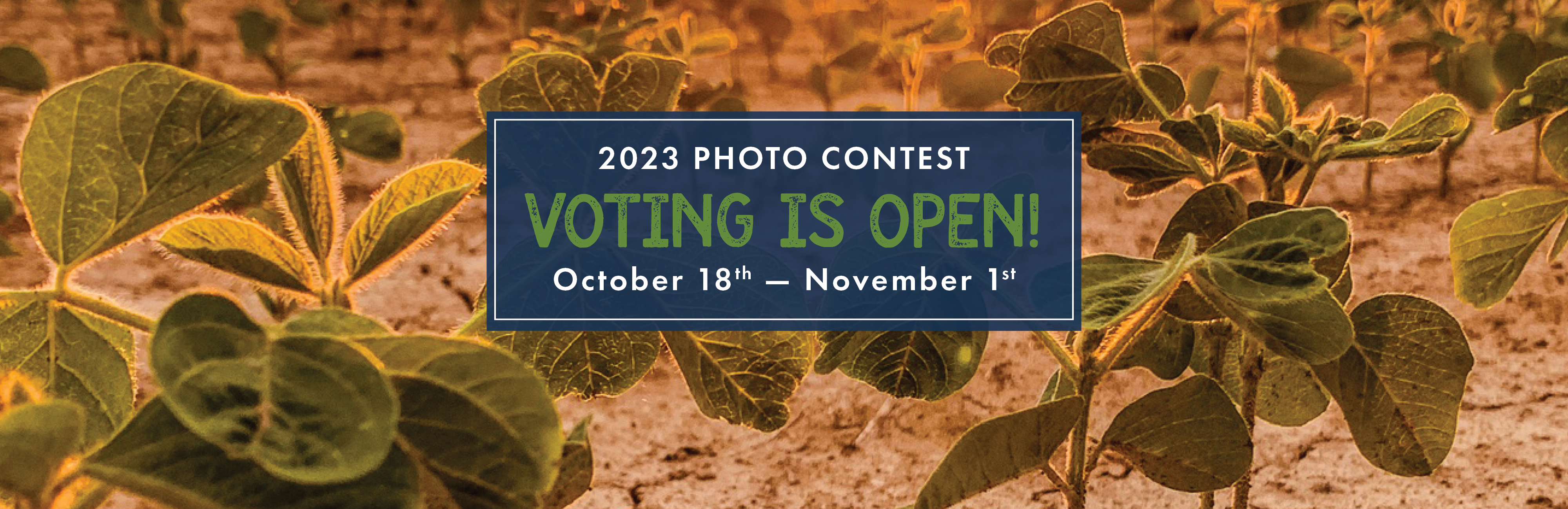 2022 photo contest