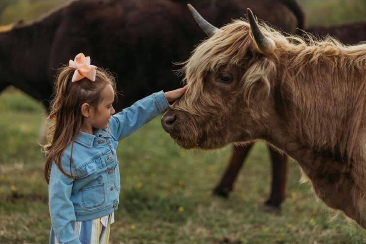 While taking family pictures out on our farm, Mary captured the sweetest picture of our daughter and Scottish Highland, Margie.