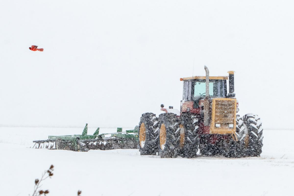 Tractor in snow