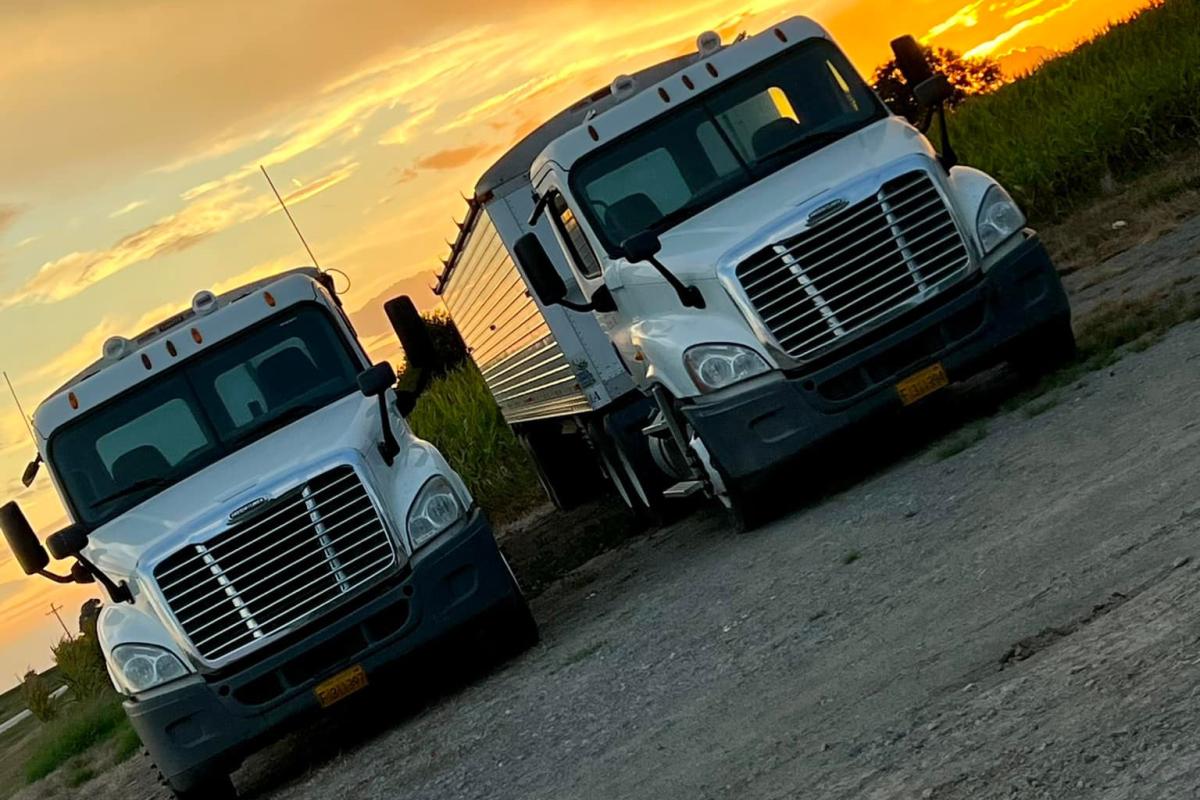 Grain trucks waiting patiently for harvest as the sunsets behind them.