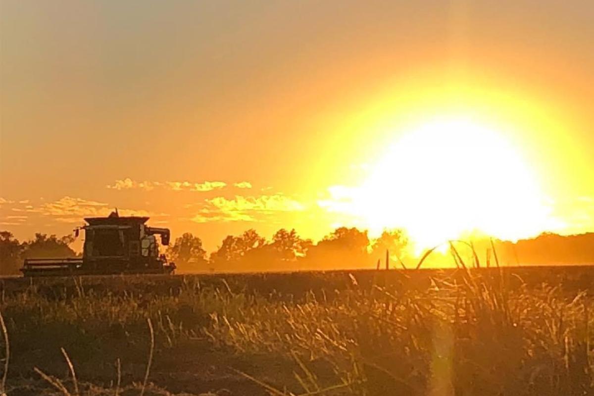 Prairie County harvest sunset on Will Hahn Farms.