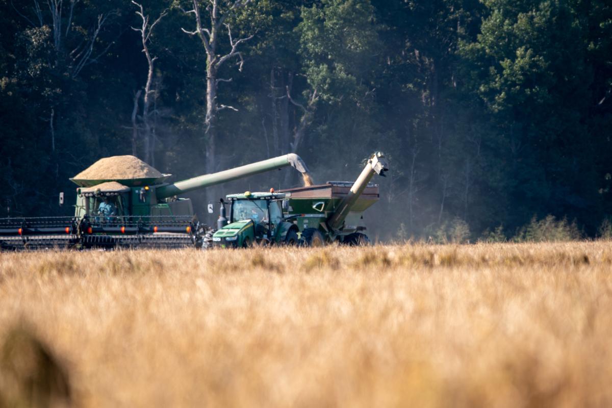 Chuck Stevens Harvesting with his Son