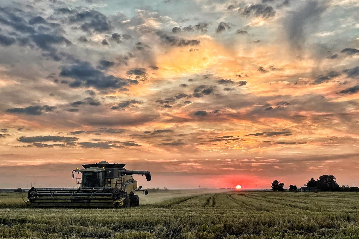 Prairie County Harvest Sunset 2022