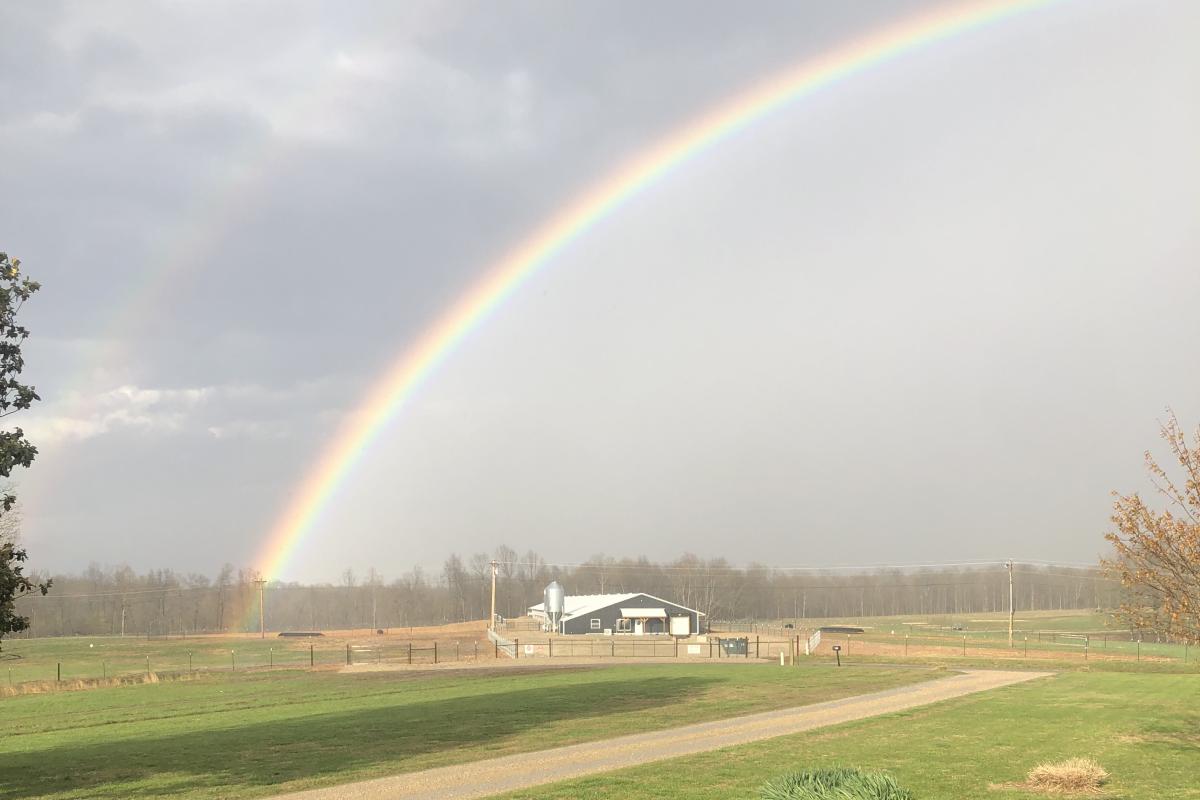 Double rainbow over poultry house
