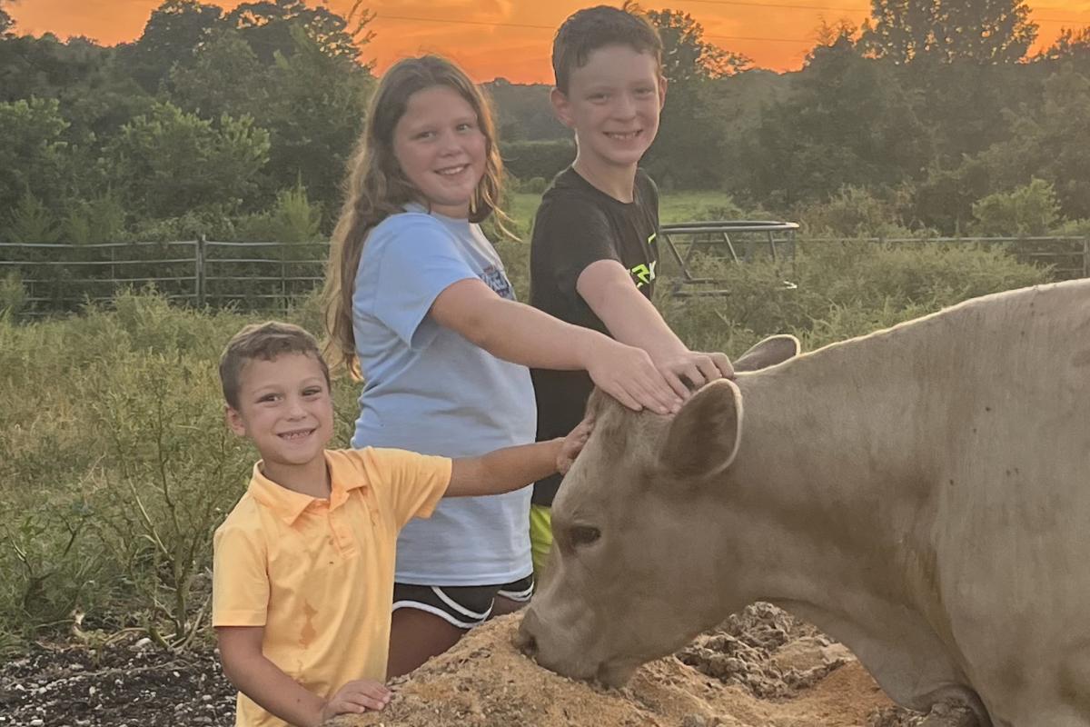 Three of our grandchildren enjoying time with one of the calves.